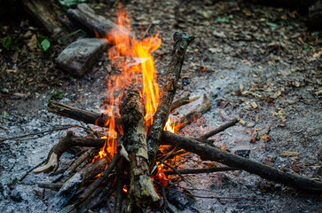 Fire on a background of ashes in the forest. Fire at night in the forest