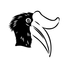 Rhinoceros hornbill. Vector sketch of hand drawn bird. Linear animals art.