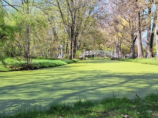 White bridge at Domaine Maizerets over the green swamp