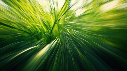 Obraz premium Vibrant green grass creating a sense of movement and life in a lush, natural landscape.