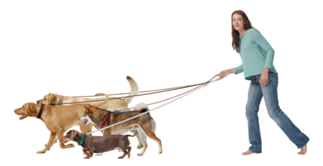 Young dog sitter posing with many dogs