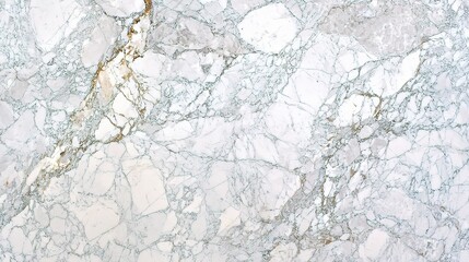 Fototapeta premium Elegant Marble Texture with Veins and Patterns