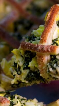 spinach pie Classic Quiche with spinach. Fish tart. Open faced salmon quiche on kitchen table with broccoli pieces and savory pie on background.