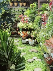 Lush Green Backyard Garden With Stone Pathway and Potted Plants