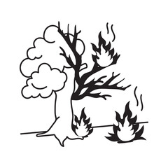 Burning tree symbolizing the impact of wildfires on the environment