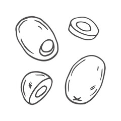 Olive hand drawn vector sketch set in doodle style