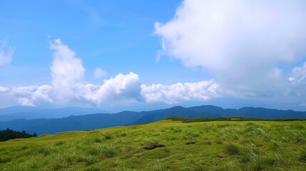 Fototapeta premium Enchanting Blue Sky, White Clouds, and Grassland Scenery: A Serene Escape