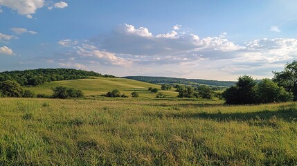 Fototapeta premium Peaceful Serene Landscape Under Blue Sky
