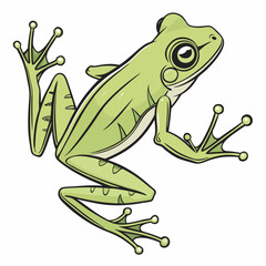 frog sitting on a leaf