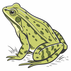 Naklejka premium frog on a white background