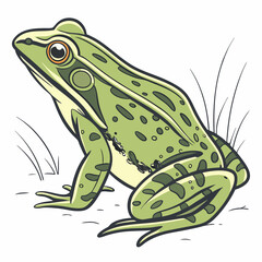 Naklejka premium green frog on a leaf