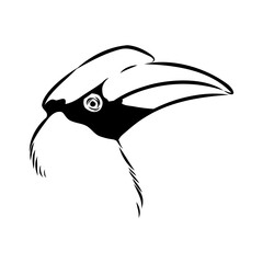 Rhinoceros hornbill. Vector sketch of hand drawn bird. Linear animals art.