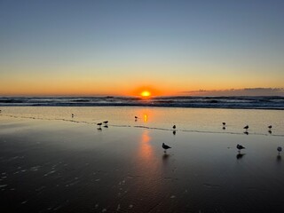 Surfers Paradise, Gold Coast, Queensland, Australia