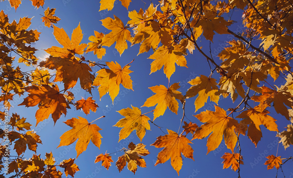 Poster tree with many leaves is in the sky