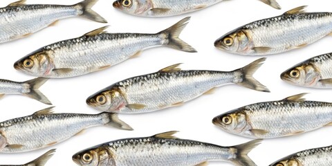 Fototapeta premium fish pattern on a white background