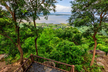 natural background of many species of plants that are laid out in the park, for the propagation of the species and to provide shade for those who stop by while traveling to study the ecology.