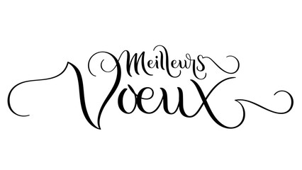 MEILLEURS VOEUX (HAPPY HOLIDAYS in French) black ornate brush calligraphy banner on white background