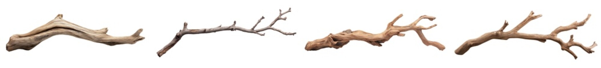 Fototapeta premium Dry old tree branch isolated on transparent background