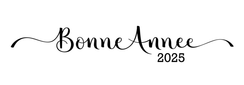 BONNE ANNEE 2025 (HAPPY NEW YEAR 2025 in French) black vector brush calligraphy banner with flourishes