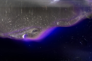 welle lila wasser flut kunst