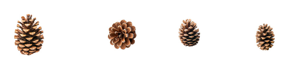 Isolated top view of pine cone on transparent background