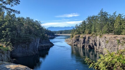 Serene forest river with rocky cliffs and mountain view
