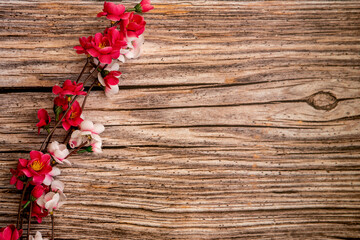 Flowers on wooden table. Background for congratulatory messages for Mother's Day, Valentine's Day and special days. Greeting card with flowers on table.