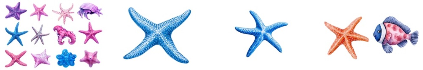 The watercolor starfish illustration is composed of soft orange and red tones, showcasing detailed textures and a natural, marine-inspired design.