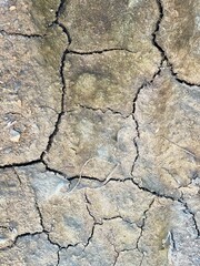 The surface is dry, cracked dehydrated. Natural Background from the ground surface.