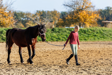 Young little teenager kid girl leading chestnut horse through stable ranch yard. Horse riding...