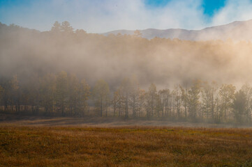 Heavy morning fog obscures autumn trees in Cade's Cove in the Great Smoky Mountains