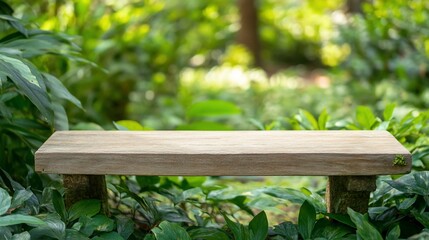 Fototapeta premium Wooden bench in a lush green garden with a blurry background.