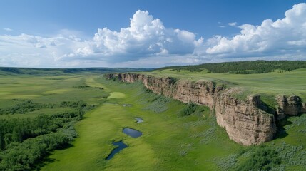 Obraz premium Expansive green field under a clear blue sky, serene landscape of nature's beauty