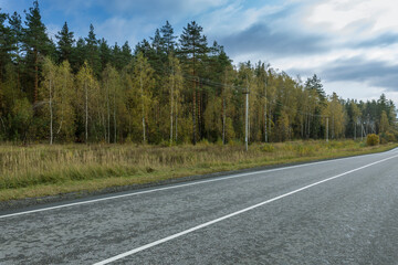 Naklejka premium A road with a lot of trees in the background