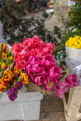 Bunch of pink tulips are displayed in a white container