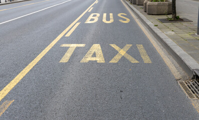 Yellow line on a road with the words Bus and Taxi written on it