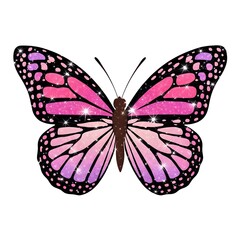 Obraz premium Glittery butterfly white background illustration
