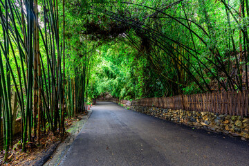 Background of religious tourist attractions on the high mountain on the way up to Doi Suthep,...