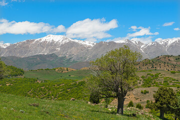 Green plains, snowy mountains. Blue sky and snowy mountains. Snowy mountains of Tunceli. Pülümür Valley, Buyer Mountain, Sarıgül Plateau, Buyer Waterfall.Munzur, Tunceli, Türkiye.
