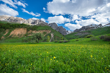 Green plains, snowy mountains. Blue sky and snowy mountains. Snowy mountains of Tunceli. Pülümür Valley, Buyer Mountain, Sarıgül Plateau, Buyer Waterfall.Munzur, Tunceli, Türkiye.
