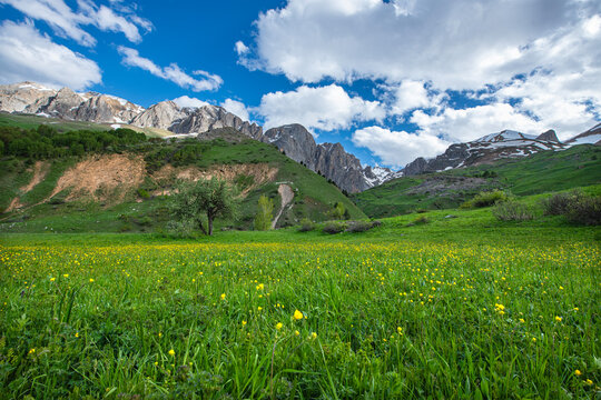 Green plains, snowy mountains. Blue sky and snowy mountains. Snowy mountains of Tunceli. P&uuml;l&uuml;m&uuml;r Valley, Buyer Mountain, Sarıg&uuml;l Plateau, Buyer Waterfall.Munzur, Tunceli, T&uuml;rkiye.
