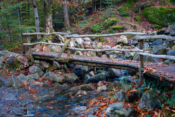Rustic Wooden Bridge in Autumn Forest