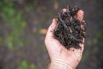 compost ring making compost pile on a farm holding microorganisms storing carbon sustainable regenerative food farm in a field on an agricultural farm in australia