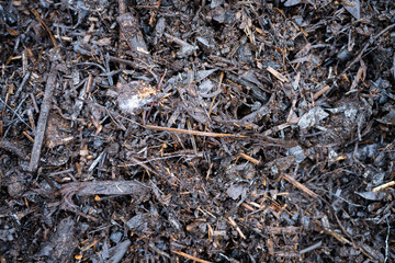 compost ring making compost pile on a farm holding microorganisms storing carbon