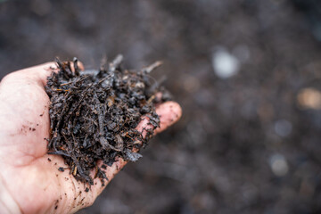 compost ring making compost pile on a farm holding microorganisms storing carbon sustainable regenerative food farm in a field on an agricultural farm in australia