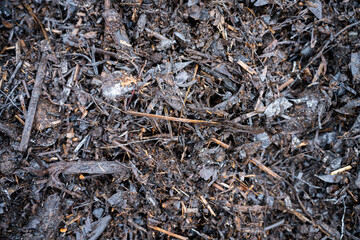 compost ring making compost pile on a farm holding microorganisms storing carbon sustainable regenerative food farm in a field on an agricultural farm in australia