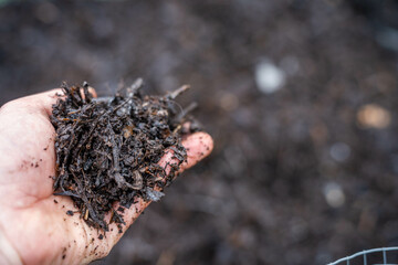 compost ring making compost pile on a farm holding microorganisms storing carbon sustainable regenerative food farm in a field on an agricultural farm in australia
