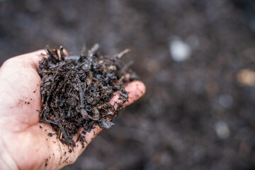 compost ring making compost pile on a farm holding microorganisms storing carbon