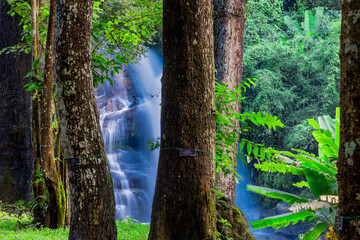 Natural background of waterfall flowing from high place through rocks and rainforest, the water...