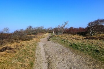 Blick auf die Küstenlandschaft bei Cuxhaven an der Nordsee